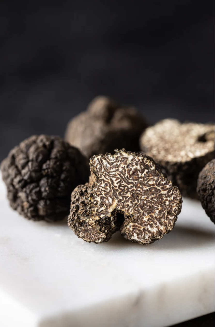 The Wolf In the heart of Brisbane City The Ultimate Truffle Experience on September 5 2024